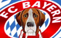 Tuchel bemoans 'slapstick' Bayern performance