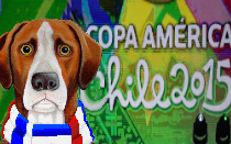 Copa America moved from Argentina to Brazil