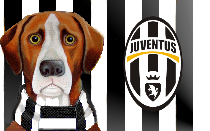 Juventus sack Allegri for Italian Cup rampage