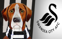 Swansea City: Viktor Gyokeres and Jordon Garrick test positive for Covid-19