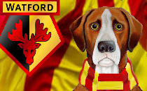 Goalkeeper in discussions over Watford move