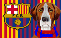 Tennis icon backs Real Madrid vs Barcelona Champions League final – ‘Bomb for Spanish football’