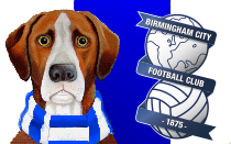 England squad confirmed as former Birmingham City star Jude Bellingham left out
