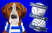 'Sloppy' goals galvanised Boro - Davies