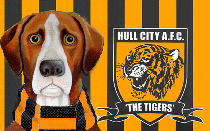 Dean Holden makes Sergej Jakirovic admission as Hull City confirm coaching addition
