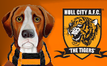 Oli McBurnie verdict delivered by pundit amid hot Hull City scoring streak