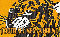 Jakirovic rues illnesses among Hull squad