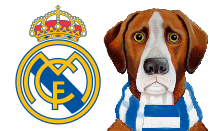 Tennis icon backs Real Madrid vs Barcelona Champions League final – ‘Bomb for Spanish football’