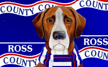 Ross County midfielder bid farewell in move to Championship