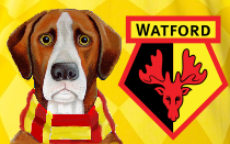 Dionisi 'angry' after Watford humbled by Burnley