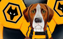 Cunha incredible head-loss costs Wolves as Parker explains Burnley changes in Preston defeat